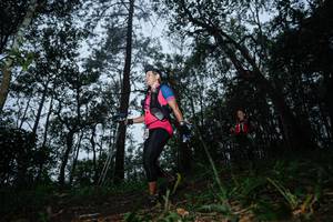 BIB: 
                            <button type="button" onclick="openModal(22568960)" class="btn btn-primary btn-sm float-right btn-popup" data-toggle="modal" data-target=".modal-high-quality">
                        <i class="fas fa-shopping-cart"></i> Add to Cart
                    </button>
                                            <button type="button" onclick="isThisMe(22568960, true)" class="btn btn-success btn-sm float-right btn-popup btn-isme hidden" data-toggle="tooltip" data-placement="bottom" title="นี่คือรูปของคุณใช่ไหม คลิกที่นี่เพื่อเอาเข้าอัลบั้ม">
                        <i class="fas fa-plus"></i> Add to album
                    </button>
                    <button type="button" onclick="isThisMe(22568960, false)" class="btn btn-warning btn-sm float-right btn-popup btn-isnotme hidden">
                        <i class="fas fa-ban"></i> Remove from album
                    </button>